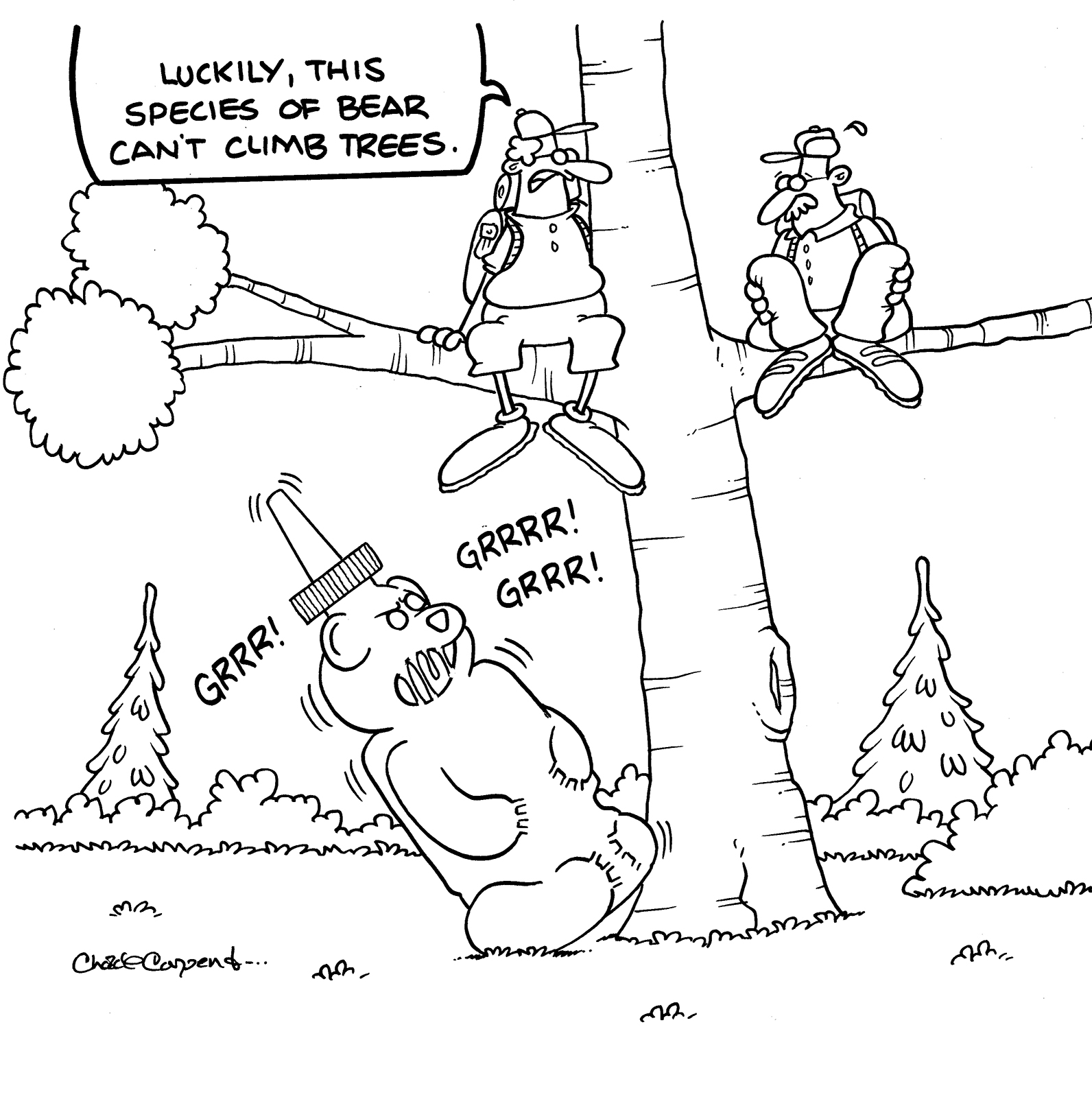 Original TUNDRA ink drawing: HONEY BEAR