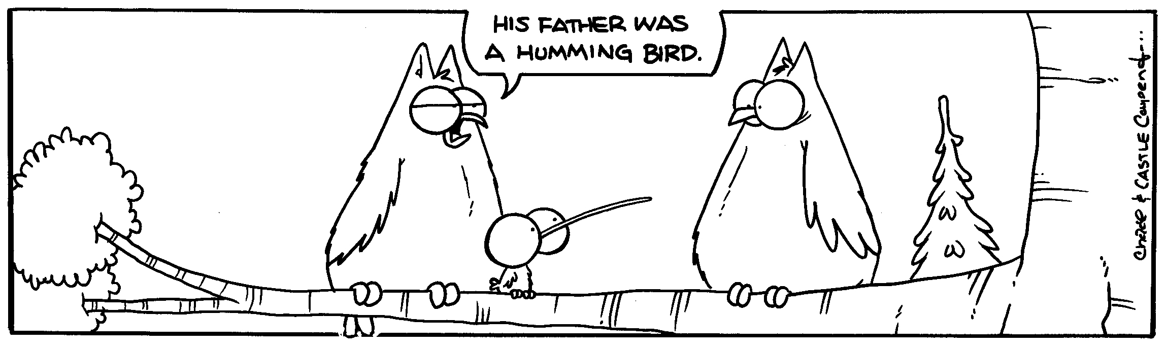 Original TUNDRA ink drawing: HUMMINGOWL