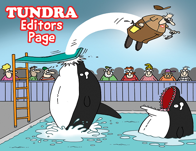 TUNDRA comic illustration