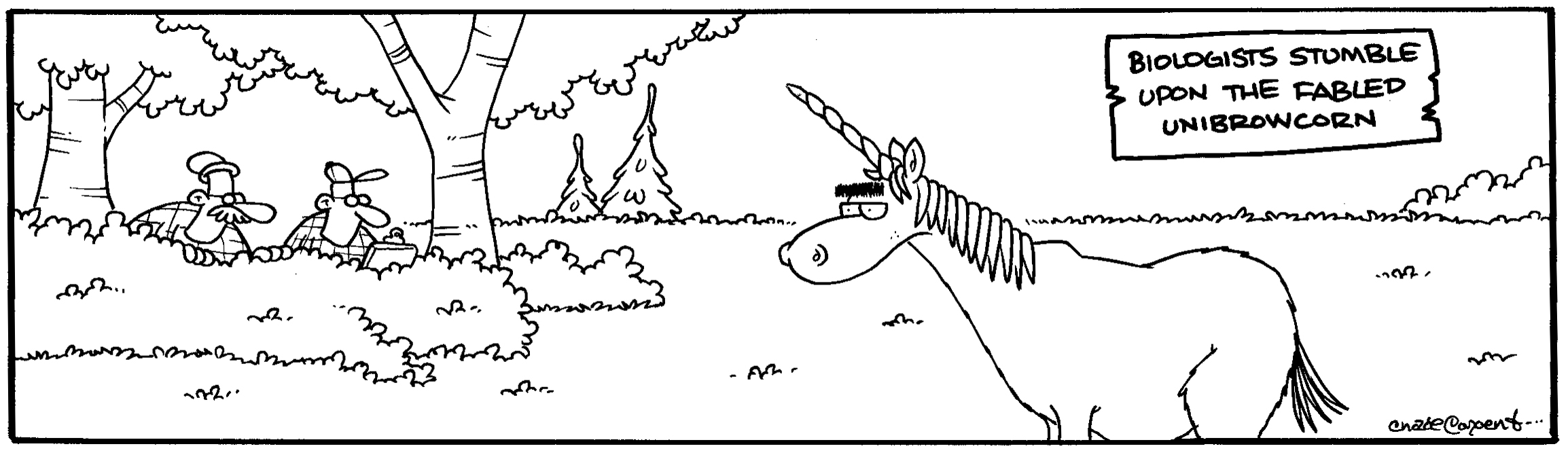Original TUNDRA ink drawing: UNIBROW